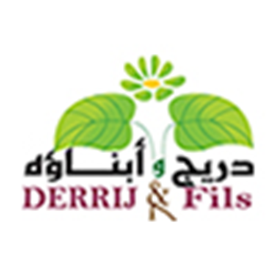 création site web consultant blog agency e-commerce formation web gratuite casablanca maroc